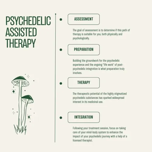 The 4 stages of psychedelic therapy